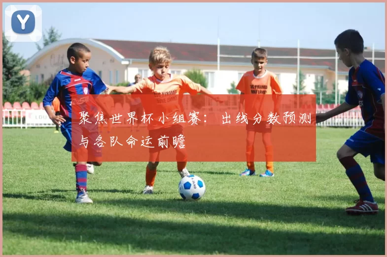 聚焦世界杯小组赛：出线分数预测与各队命运前瞻