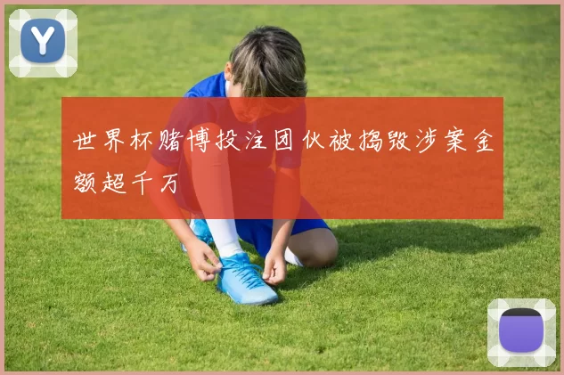 世界杯赌博投注团伙被捣毁涉案金额超千万