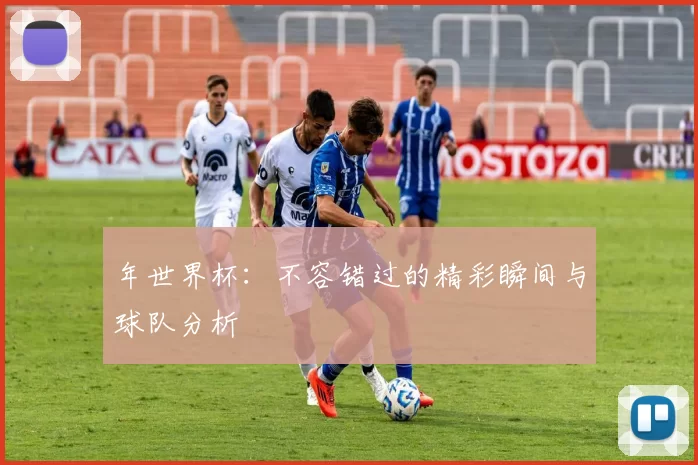 年世界杯：不容错过的精彩瞬间与球队分析