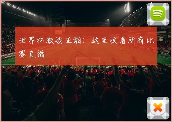 世界杯激战正酣：这里收看所有比赛直播
