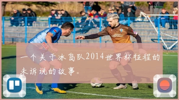 一个关于冰岛队2014世界杯征程的未诉说的故事。