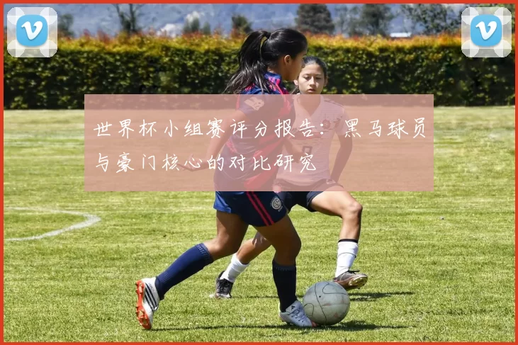 世界杯小组赛评分报告：黑马球员与豪门核心的对比研究
