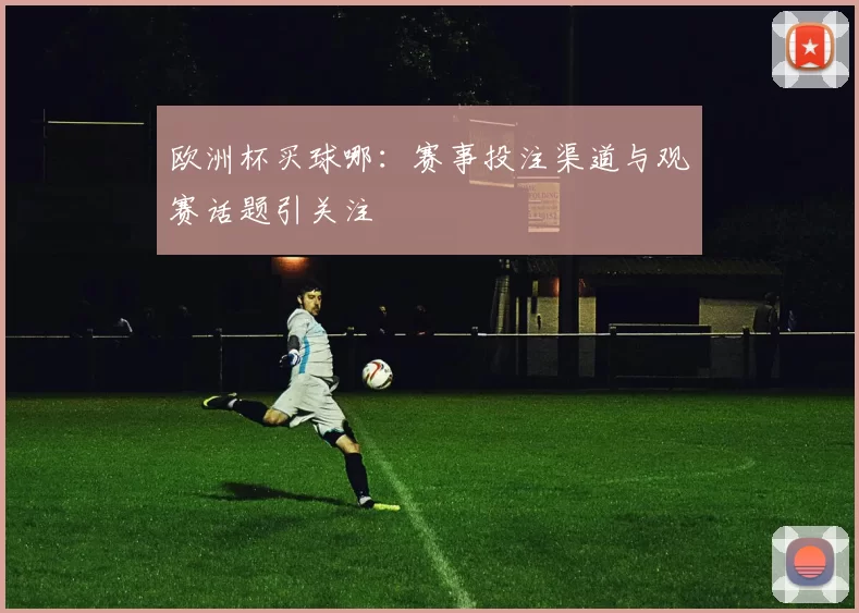 欧洲杯买球哪：赛事投注渠道与观赛话题引关注