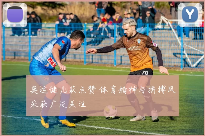 奥运健儿获点赞 体育精神与拼搏风采获广泛关注