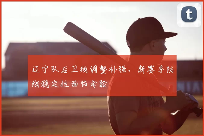 辽宁队后卫线调整补强，新赛季防线稳定性面临考验