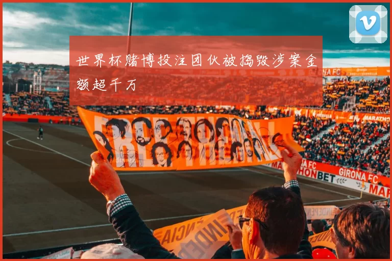 世界杯赌博投注团伙被捣毁涉案金额超千万