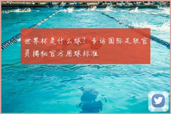 世界杯是什么球？专访国际足联官员揭秘官方用球标准